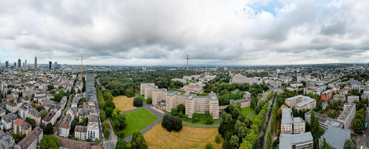 Goethe Universität Frankfurt - oethe Research Experience (GREP)